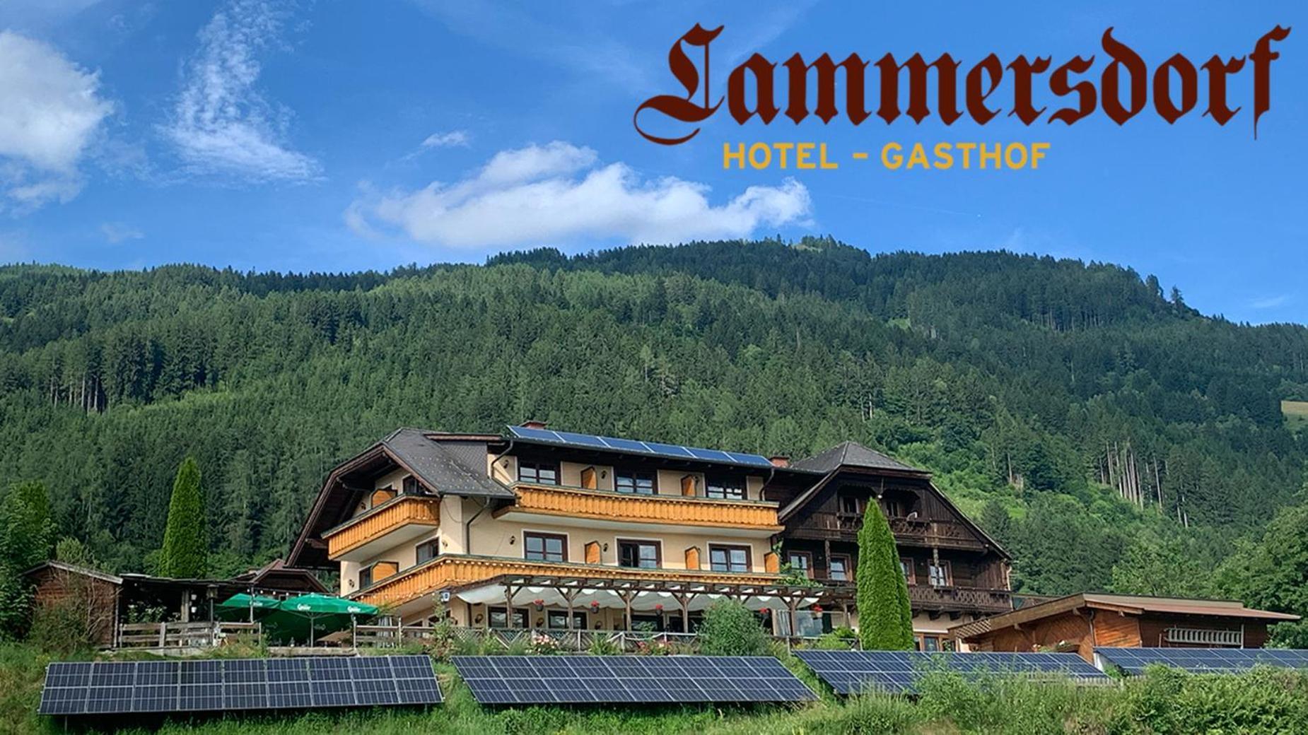 Hotel-Gasthof Lammersdorf Millstatt Kültér fotó